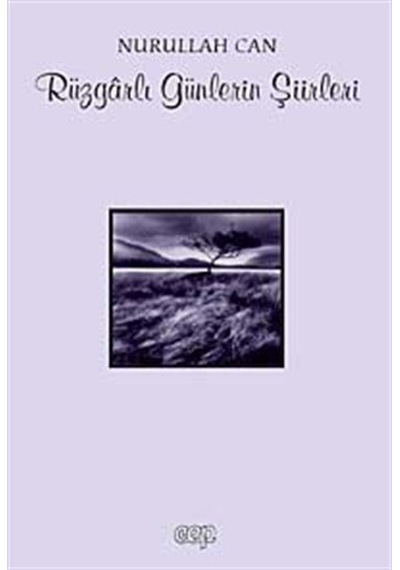 Rüzgarlı Günlerin Şiirleri / Nurullah Can