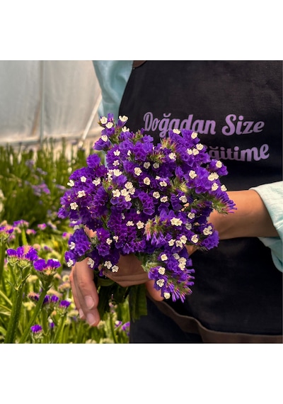 Deniz Lavantası Limonium Siniuatum-1 Demet