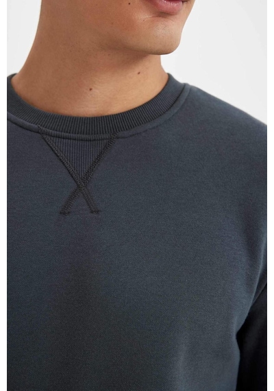 DeFacto Regular Fit Bisiklet Yaka Kalın Basic Düz Sweatshirt T3777AZ24AUAR184