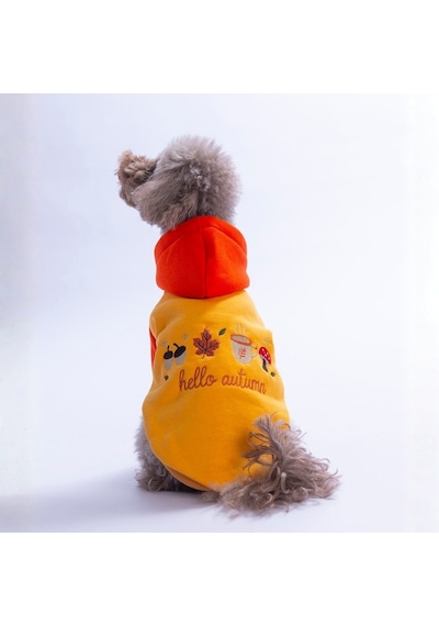 Turuncu Vermont Autumn Köpek Hoodie Köpek Sweat Köpek Kıyafeti Kedi Kıyafeti
