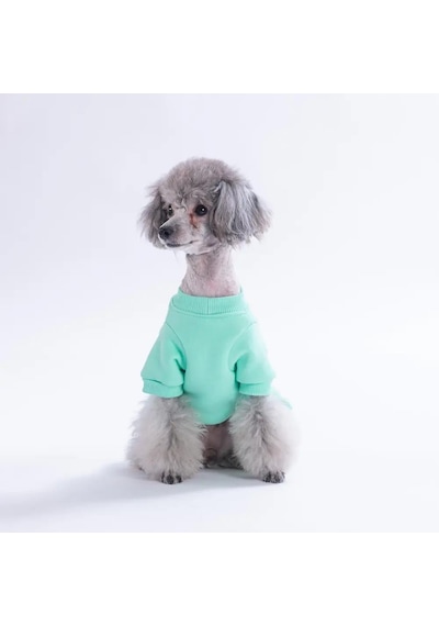 Pawstar Mint Arosa Nivalis Küçük Irk Köpek Elbisesi