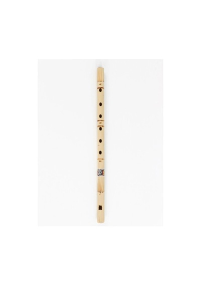 Bambu Kaval - 30 Cm