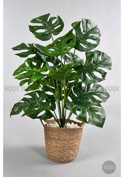 Yapay Monstera Deve Tabani 65 Cm Kulplu Hasir Saksıda Krem