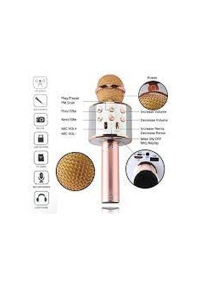 Karaoke Bluetooth Mikrofon Wster Ws-858 Usb Ses Değiştir Gold Siyah