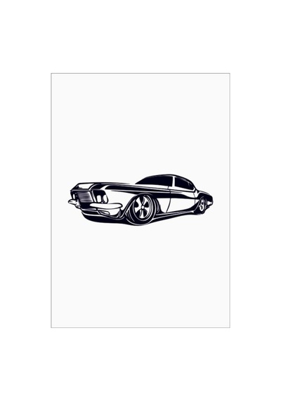 Araba Sticker Yapıştırma 25Cm