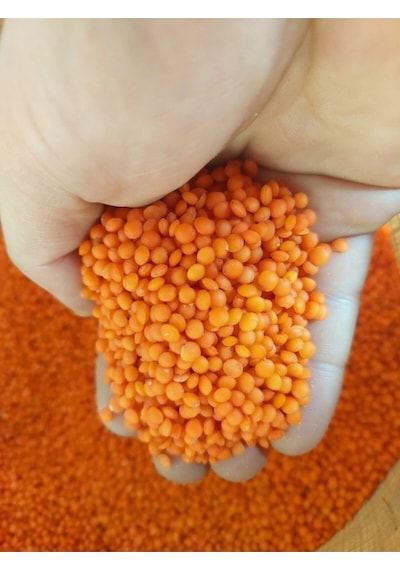 Kırmızı Mercimek 1 Kg Köy Mahsulu