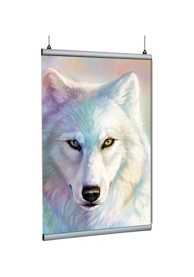 Poster Tutucu Clamp 80cm 10lu Paket