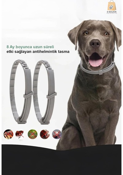 Köpek Anti Pire Kene Önleyici Tasma- Pire Önleyici -kene Önleyici 63 Cm Çok Renkli