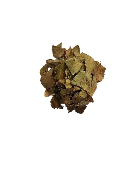 Derya Eren Sarmaşık Yaprağı Hedera Semen 100 G