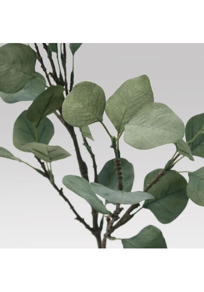 Ikea Smycka Yapay Okaliptüs Dalı 65 Cm Yeşil