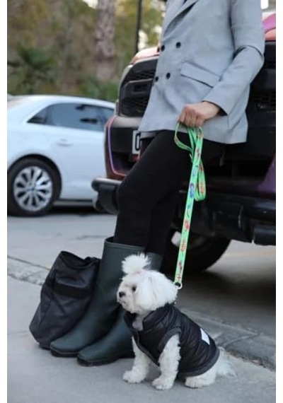 2AS Su Geçirmez Kapitone Köpek Montu - Siyah Medium Açık Gri