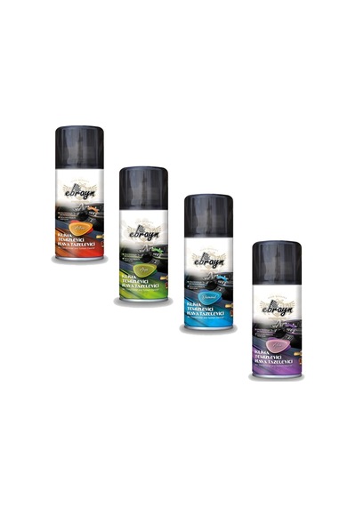 Araç Klima Ve Hava Temizleyici 150 Ml Ebrayn 4 Adet