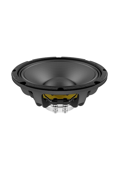 Lavoce Wan103.01 10" 450w 8 Ohm Neodmiyum Hoparlör