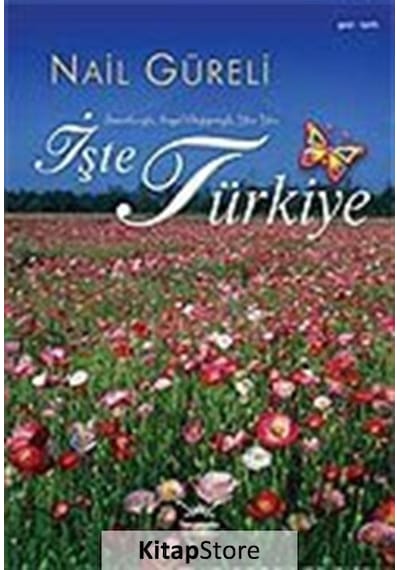 İşte Türkiye - Nail Güreli - Heyamola Yayınları