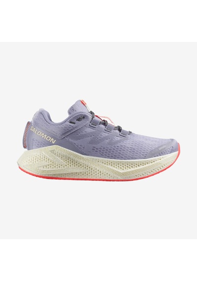 Salomon Aero Glıde 3 477594 Çok Renkli