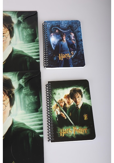 Dekomus İle Lisanslı Harry Potter 2 Adet Çıtçıt Dosya Ve 2 Adet Spırallı A6 Çizgili Not Defteri / Bloknot Okul Seti Altın