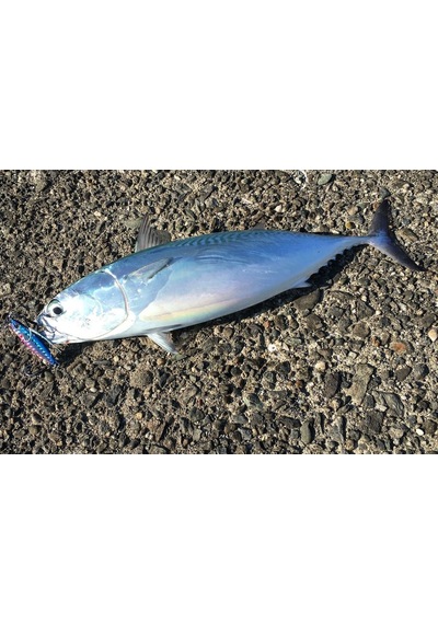 Duo Drag Metal Cast Slim Jig 30 GR Pja0101 / Zebra Glow Yem