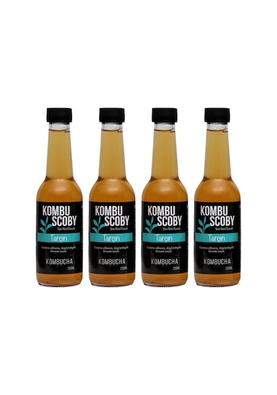 Kombu Scoby Kombucha Tarçın Yeni Nesil İçeçek 4 x 250 ML