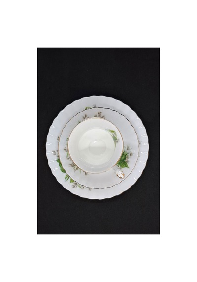 Trillium Bone China Porselen Duble Kahve Fincanı Ve Tabakları 3 Parça 120 Ml Yeşil