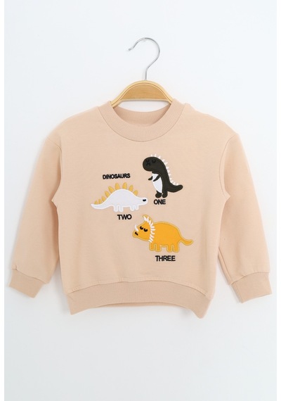 Toontoy Kids Toontoy Erkek Çocuk Relax Fit Bisiklet Yaka Hafif Düşük Omuz Nakışlı Sweatshirt Bej