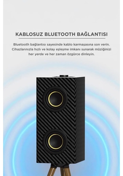 Kablosuz Hoparlör 24w 3000mah Taşınabilir Ayaklı D67 Müzik Aparatı Seyyar Alet Ses Aleti