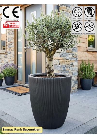 Thorax Büyük Boy Çizgili Fiberglas Saksı 55x66 Cm - Sınırsız Renk Seçenekli Leke Tutmaz Bahçe Ve Ev Saksısı 55 66 100l