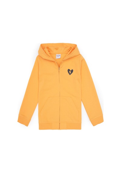 U.S. Polo Assn. Kız Çocuk Mango Kapüşonlu Fermuarlı Sweatshirt 50316873-VR244