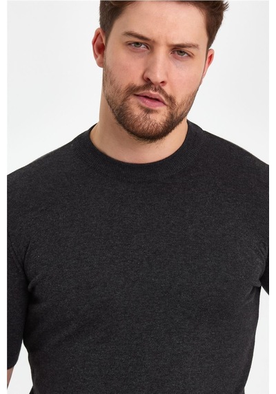 Cool Tarz Koyu Füme Erkek Yarım Balıkçı Düz Triko T-shirt-trz19129r13s Koyu Füme Koyu Füme