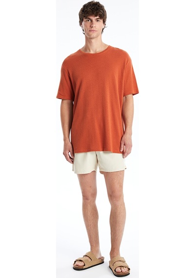 Lcw Swımwear Bej Kısa Boy Baskılı Erkek Deniz Şortu