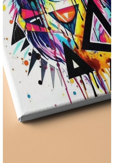 Webstyle Sayılarla Boyama Seti Kasnaklı Soyut Kaplan 60 X 75 Cm