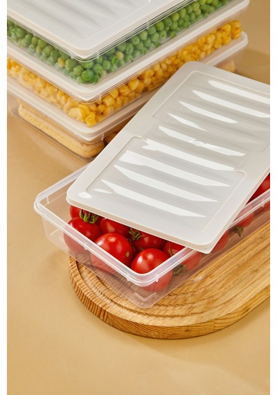 Multi Box 4 Lü Set Saklama Kabı Seti - Dondurucu & Mikrodalga Uyumlu Krem
