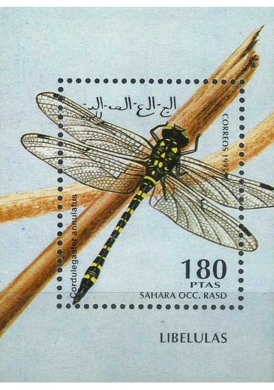 Koleksiyon Pulları, 1995 Damgasız Özel Blok,batı Sahra Cumhuriyeti,n11-83