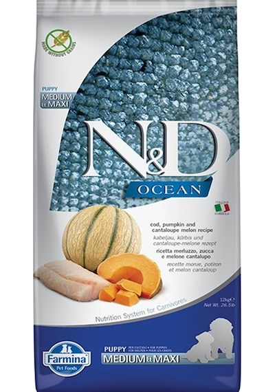 N&D Ocean Morina Balıklı Balkabağı ve Kavunlu Orta ve Büyük Irk Yavru Köpek Maması 12 KG