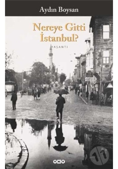 Nereye Gitti Istanbul? (Küçük Boy) Aydın Boysan