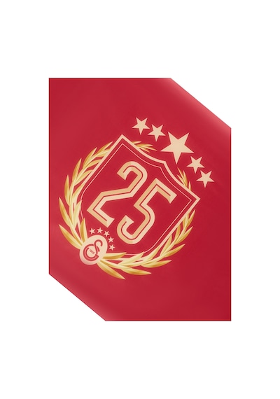 Gsstore Galatasaray 25 Şampiyonluk Balkon Dikey Bayrak 150x225cm U251358