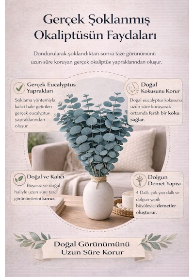 Doğal Yeşil Okaliptüs Demeti Gerçek Okaliptüs, Şoklanmış Büyük Okaliptus Demeti Doğal Yeşil