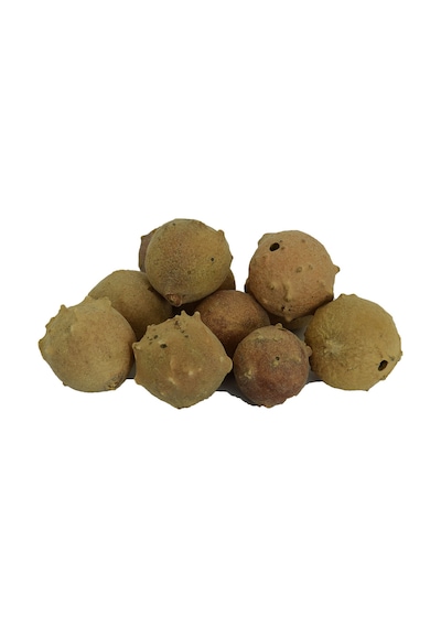 Lokman Doğal Mazı Meyve Kozalağı 100 G