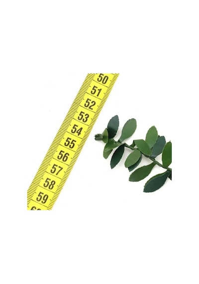 7 Metre Telli Taç Sarmaşık Minik Yaprak 1 Cm Şerit Yapay Çiçek Dogalgaz Borusu Süsü