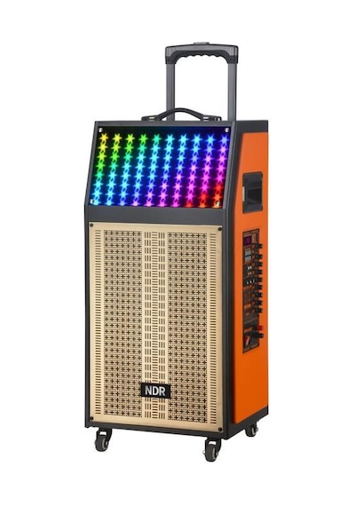 Torima NDR-112R Kablosuz Mikrofonlu Uzaktan Kumandalı RGB Bluetooth Hoparlör