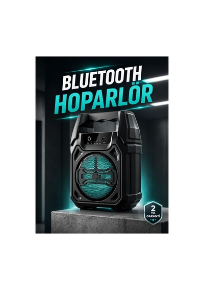 Kablosuz 6.5 İnç Tws Bluetooth Hoparlör Renkli