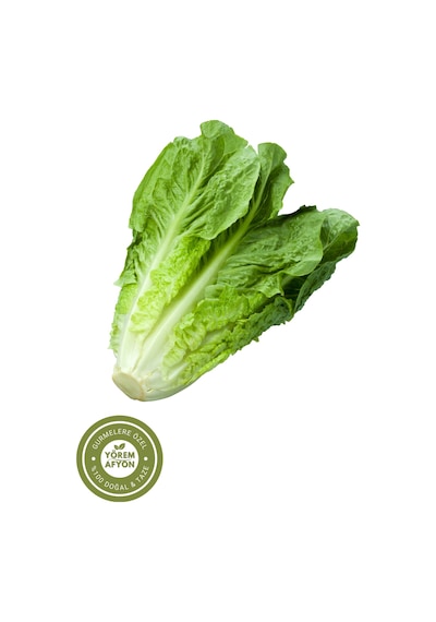 Sakarya Yöresinden Sıcağa Dayanıklı İri Yapraklı Gdo'suz Marul Tohumu Lactuca Sativa 20gr.