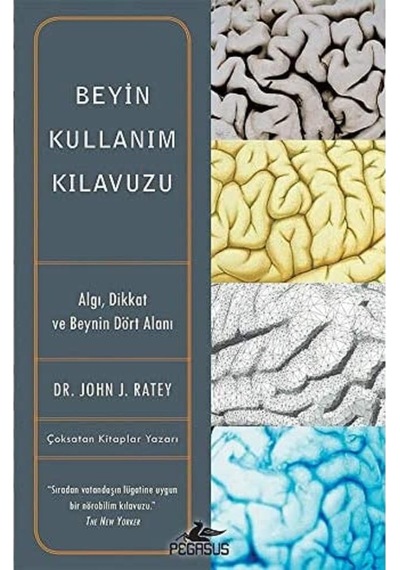 Beyin Kullanım Kılavuzu
