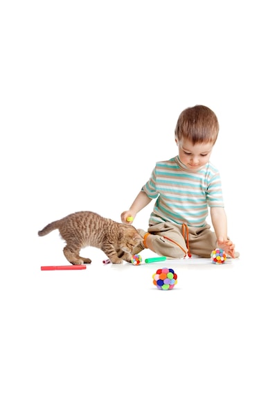 2 Adet Çıngıraklı Zilli Peluş Kedi Topu 7 Cm Büyük Boy Sesli Kedi Oyuncağı, Dayanıklı Yumuşak Toplar, Enerji Atıcı İnteraktif Oyun Topu El Yapımı 2 Adet Çıngıraklı Zilli Peluş Kedi Topu 7 Cm Büyük Boy Sesli Kedi Oyuncağı, Dayanıklı Yumuşak Toplar, Enerji Atıcı İnteraktif Oyun Topu El Yapımı