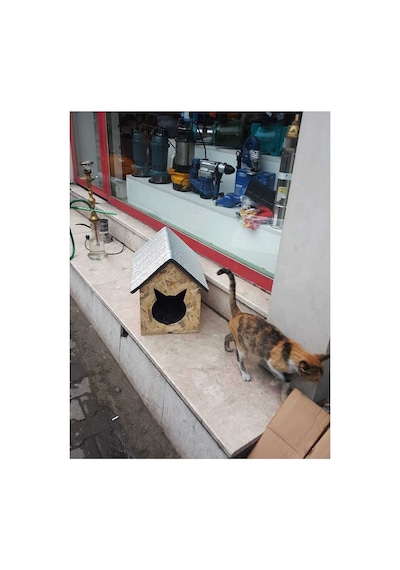Kedi Evi Kedi Yuvası Özel Tasarım