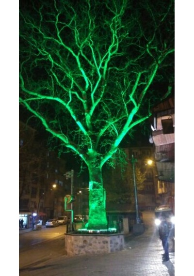 Palmiye Ağaç Aydınlatma Işık Boyama Led 35Cm Diğer