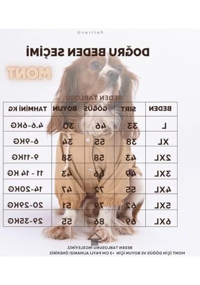 2as 3xl Boyutunda Vizon Renkli Yağmurluk Mont, Köpekler İçin 142335