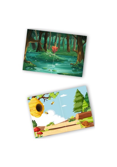 My Sticker Book '' Wıld Animals-ınsects'' , 2li Set Tükenmeyen Sticker Kitabı