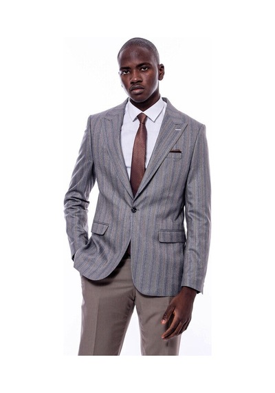 Ekose Çizgili Slim Fit Gri Erkek Ceket - Wessi Gri