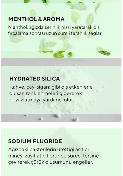 The Ceel Fresh Mint Ferahlatıcı Diş Macunu 75 gr – Nane Aromalı, Günlük Koruma