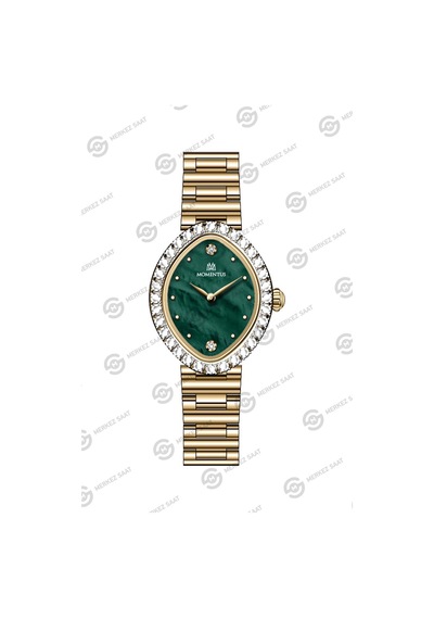 Momentus Women's Shiny Ss401g-15sg Çok Renkli